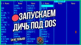 🔴Запускаем Старые Игры под DOS -  Стрим