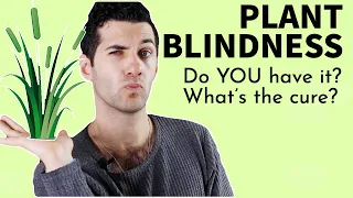 Plant blindness: Do you have it? What's the cure?