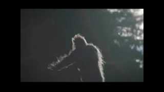 BIGFOOT MYTHE OU RÉALITÉ  2  !!!!!!!!!