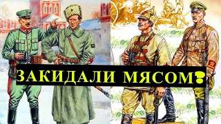 Сколько было КРАСНЫХ в период ГРАЖДАНСКОЙ ВОЙНЫ?