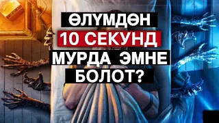 ӨЛҮМДӨН 10 СЕКУНД МУРДА ЭМНЕЛЕР БОЛОТ? МУХАММАД БЕКМИН