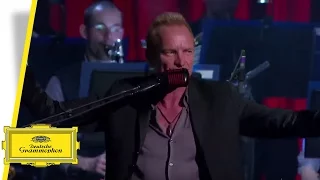 Sting - Desert Rose - Royal Philharmonic Concert Orchestra (Live in Berlin)