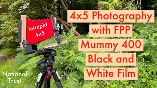 4x5 Photography with FPP Mummy 400 Black & White