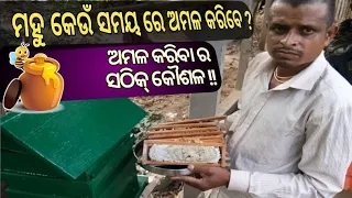 ମହୁ ଅମଳ କରିବାର ସଠିକ୍ ସମୟ ଓ କୌଶଳ।  beekeeping /pure honey /beekeeping in odisha /odisha beekeepers