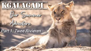 Kgalagadi: Our Summer Adventure - Part 1 Twee Rivieren