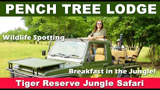 Pench National Park Jungle Safari - Wildlife Spotting & Luxury Breakfast in the Jungle! - Pugdundee