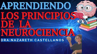 🧠 APRENDE LOS PRINCIPIOS BÁSICOS DE LA NEUROCIENCIA- DRA NAZARETH CASTELLANOS