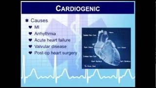 Critical Care Paramedic 14:  Vasopressors and Inotropes in the Pharmacotherapy of Shock