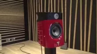 Focal Sopra No1 driven by Naim Statement amps