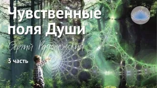 Софоос. Ченнелинг. Сергий Радонежский "Чувственные поля Души" 3 часть.