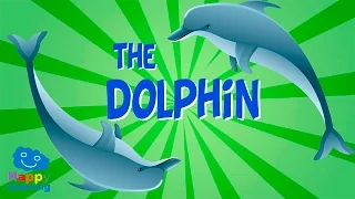 The Dolphin | Educational Video for Kids.