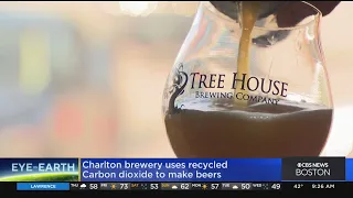 Tree House Brewing Company Utilizing Carbon Capture Technology To Combat Climate Change