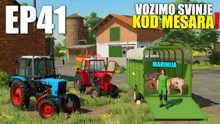 IDEMO KOD MESARA, IMAMO MAČKU !! - Staro Imanje EP41 w/Marinija