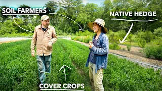 Boosting Soil Health Through Cover Crops and Hedgerows | Assawaga Farm