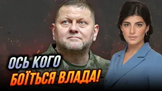 😱Слуги та ОПЗЖ просто втекли при згадці Залужного. Важливі рішення у Київраді / ГАБІБУЛЛАЄВА