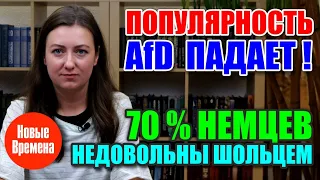 Популярность AfD падает / 70% немцев недовольны Шольцем