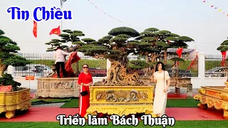 Tin chiều ngày thứ 3 nhận cây tại triển lãm Bách Thuận