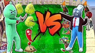 Plants vs zombies - Wogua protects sunflower and fights against iron barrel zombies