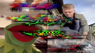 Kermit The Frog Yeet-Dances to a Test Video