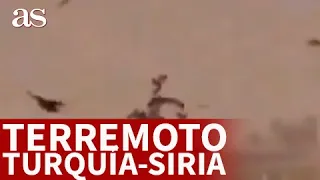 TERREMOTO TURQUÍA | El RARO comportamiento de los PÁJAROS antes del terremoto | SIRIA | AS