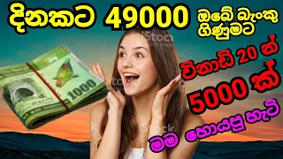 How to Eran money, ගෙදර  ඉදන් මම  සල්ලි හොයන හැටි, #sldhanu #sinhala2023