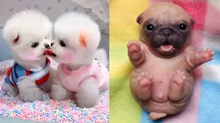 😍LAS MASCOTAS BEBE MAS CHISTOSAS Y TIERNAS #4😍 | Cute Baby Pets