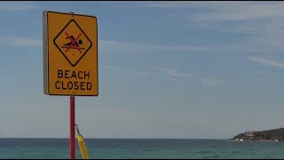 Пляжи Сиднея закрыты после первого смертельного случая нападения акулы за 60 лет