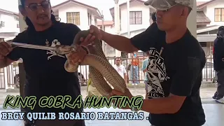 3OVER SIZE COBRA SA BARANGAY QUILIB ROSARIO BATANGAS .