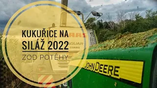 Kukuřice na siláž 2022| ZOD Potěhy