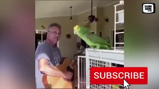 Incredible- Man plays guitar while his parrot sings opera perfectly to it