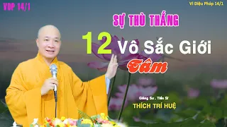 Sự Thù Thắng Của Cõi Trời Định Vô Sắc . Thầy Thích Trí Huệ VDP 14/1