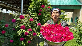 Grandma Rose Making Jam From Rose and Crispy, Aromatic Gogal Pastries