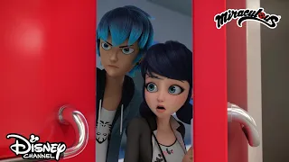 🎙 A tehetségkutató | Miraculous | Disney Csatorna