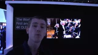 Sony 4K 56" OLED TV Demo - Linus Tech Tips CES 2013