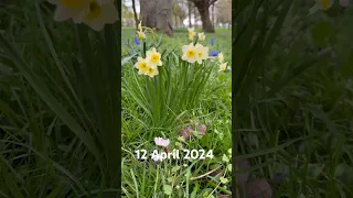 ЛЮБЛЮ ВЕСНУ 🌼 SPRING IS IN THE AIR