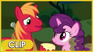Big Mac and Sugar Belle Get Back Together - MLP: Friendship Is Magic [Season 8]