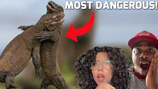 10 Most DANGEROUS Animals in The USA! Reaction