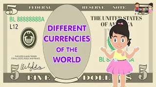 Different Currency l Currency Around The World l Kooboo Production