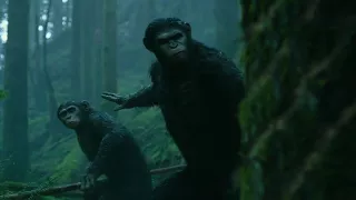 Dawn Of The Planet Of The Apes 2014 when apes start hunting in forest 720p