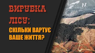 ВИРУБКА ЛІСУ: СКІЛЬКИ ВАРТУЄ ВАШЕ ЖИТТЯ?