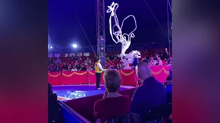 Do Portugal Circus