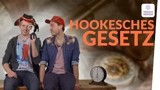 Das Hookesche Gesetz I musstewissen Physik