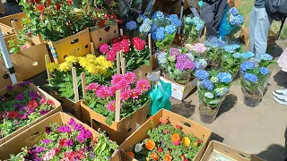 ВЫСТАВКА-ЯРМАРКА "ВЕСЕННИЙ САД" В ПАРКЕ ИМ. В. ЧЕРЕВИЧКИНА🌿РОСТОВ