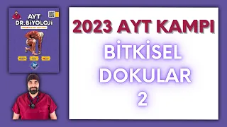 Bitkisel Dokular-2 AYT Biyoloji Kampı Konu Anlatımı/ 12.Sınıf 2024 Tayfa