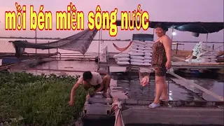 Sương Sương Món Cháo Tôm Càng Xanh Cá Ba Sa Ngon Nhức Nách # SĂN BẮT ĐỒNG THÁP #