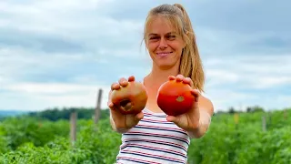 Master Gardener Builds 70 Acre Organic Farm | Good Work: Episode 1