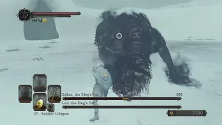 SL1 Dark Souls 2 SOTFS - Lud and Zallen, the King's Pets