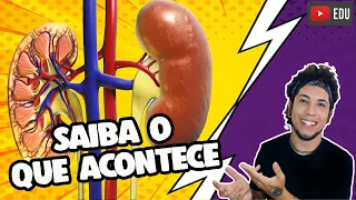 COMO É VIVER SÓ COM UM RIM | Biologia com Patrick Gomes