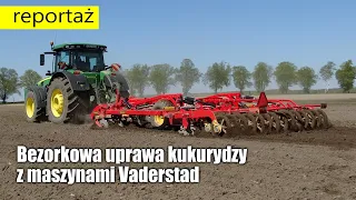 Bezorkowa uprawa kukurydzy z maszynami Vaderstad - jak wypadły wschody?