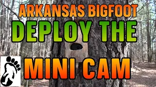 Arkansas Bigfoot: DEPLOY THE MINI CAM